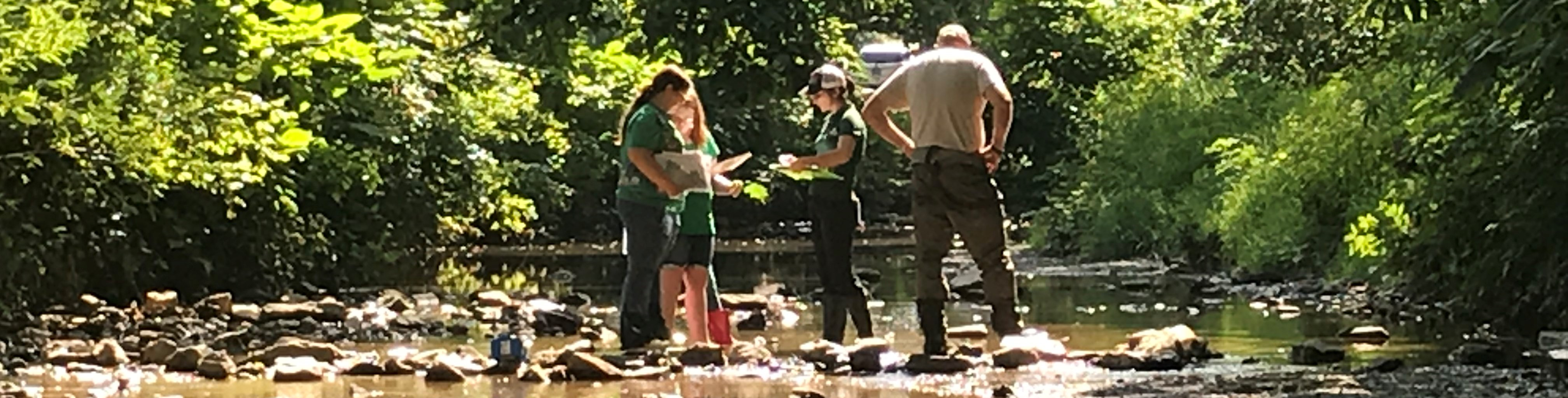 Young women learn how to assess the health of a stream as part of the STREAM Girls program, a partnership with Girl Scouts and Trout Unlimited.