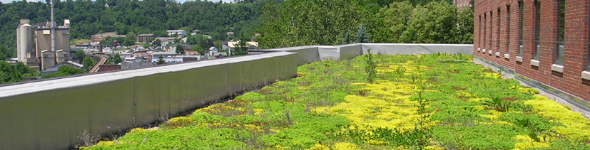 Green roof installed at WVU's Brooks Hall