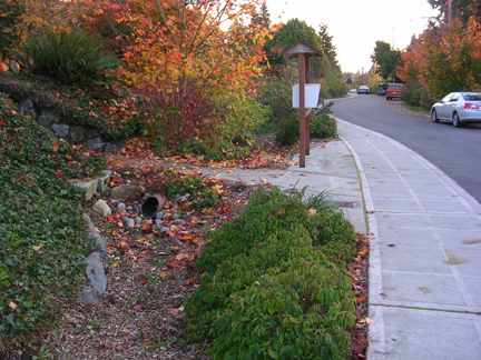Photo of Street Edge Alternative. These techniques employ porous pavements, rain gardens and native vegetation