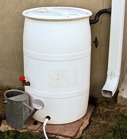 Rain barrel