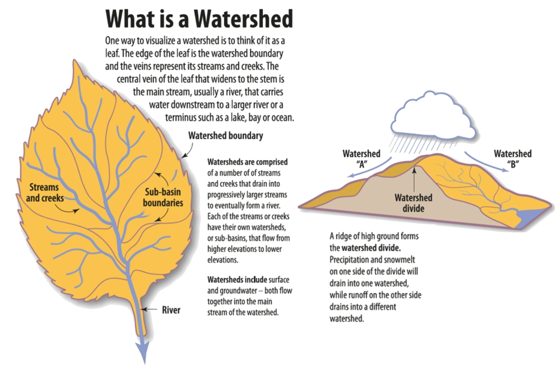 What is a Watershed Infographic