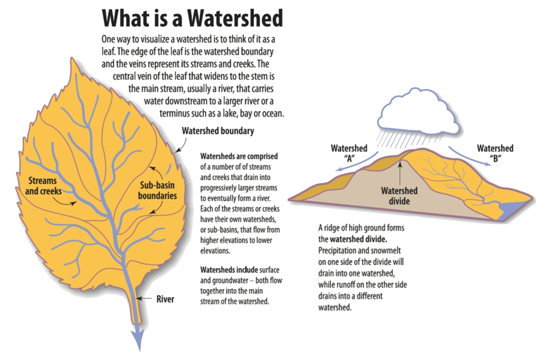 simple watershed diagram