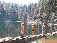Kids Crossing Log in Stream
