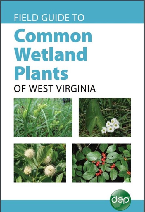 Wetland Plants Field Guide Cover