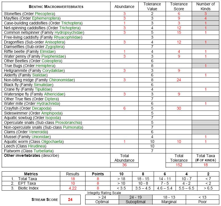Sample BMI Assessment Score Sheet