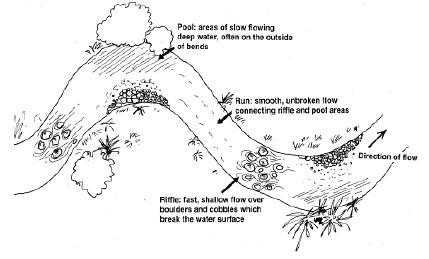 Stream - definition and meaning with pictures