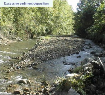 Excessive Sediment Deposition