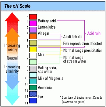 pH Scale