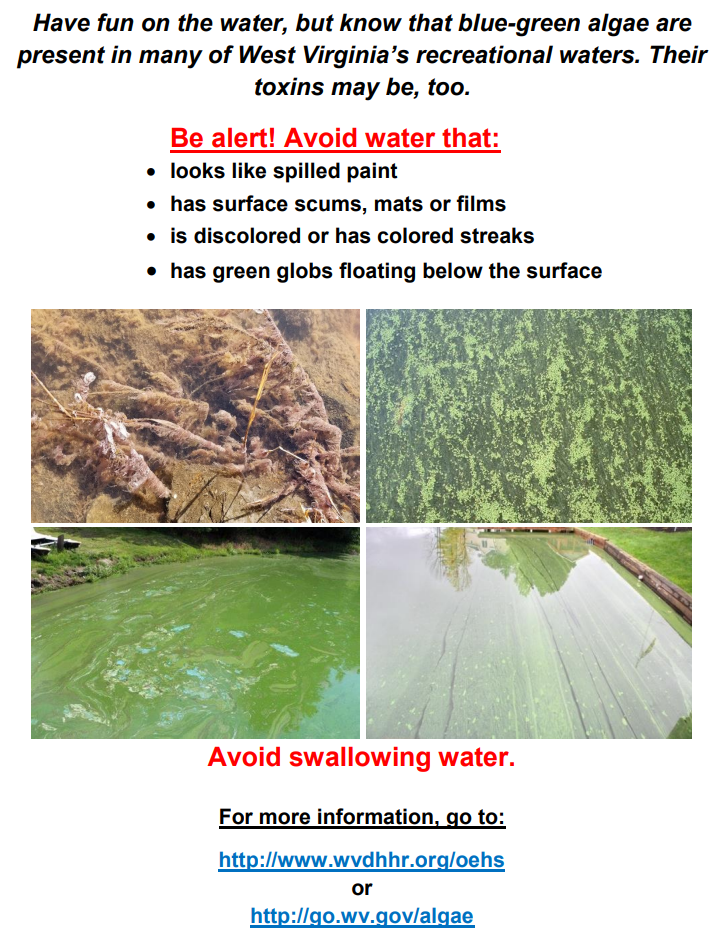 Sign depcting general algae information