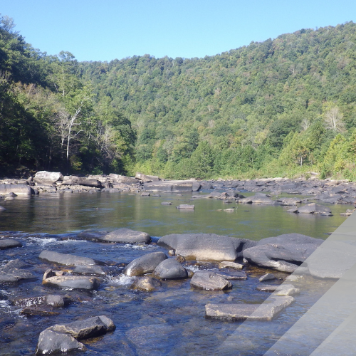 Scenic photo of a river.