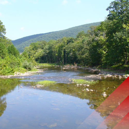 A muddy river.