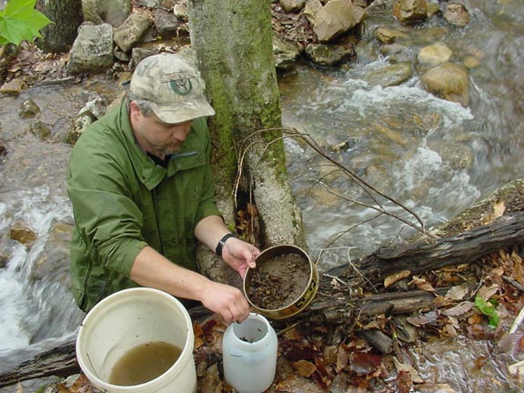 A man sorting the river water to process the collected bethic macroinvertebrates.