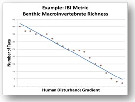 IBI Chart Example