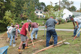Volunteer Tree Planting
