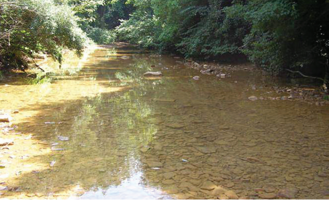 Raccoon Creek after in-stream dosing treatment.
