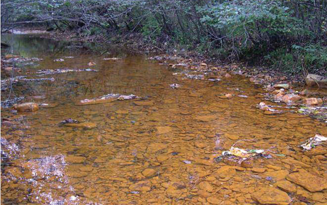 Raccoon Creek prior to in-stream dosing treatment.