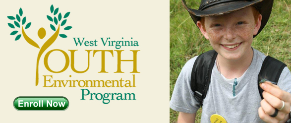 Youth Environment Program