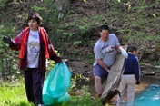 Lick Creek MIS Cleanup 2010
